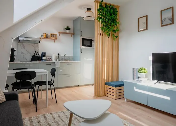 Suite Sous Velux T2