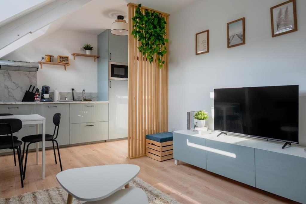 Appartement Sous Velux T2